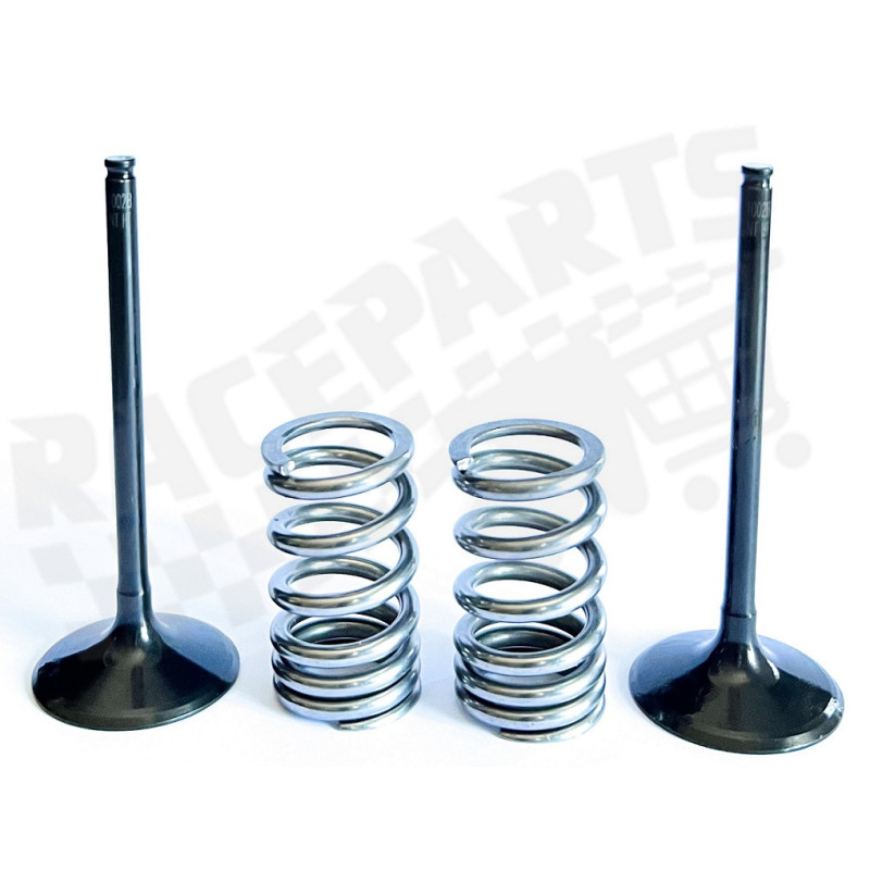 Psychic Intake Valve & Spring Kit For Kawasaki KX250F (2004-2006) & Suzuki RMZ250 (2004-2006)