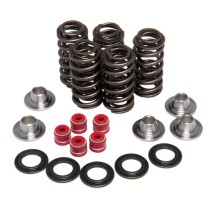 372-80-82200 Complete Valve Spring Kit-450cc-YZF/WRF/YFZ