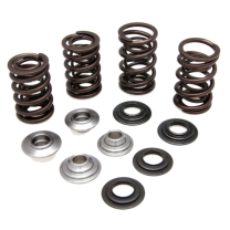 372-60-61750 Complete Valve Spring Kit-LT-R450 '06-'12