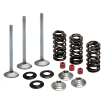 372-80-80950 Inlet Valve Kit-450cc-YFZ ATV/YZF '03-'09/WRF '03-'15