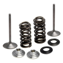 372-80-80970 Inlet Valve Kit-YZF250 '14-'18/FX/WRF