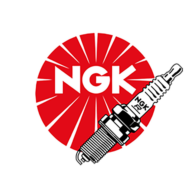 NGK Spark Plug Set (4 Plugs) For BMW M3 E46, Z3, E36 – 4339 / DCPR8E – Set Of 4
