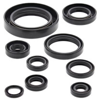276-ZKM2177 Engine Oil Seal Kit-CR250R '02-'04