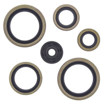 276-ZKM5187 Engine Oil Seal Kit-KTM/Husqvarna 125/200