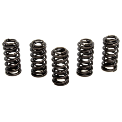 372-80-80069 Valve Spring...