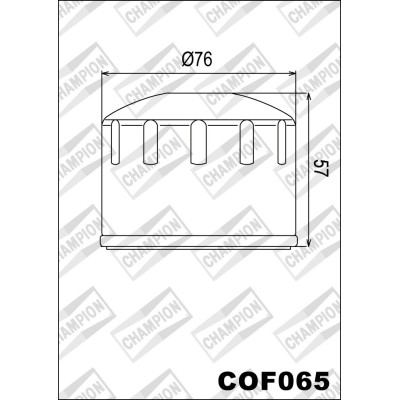 226-COF065 Champion Oil...