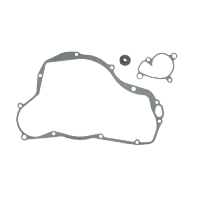 276-WPS220-Water Pump...