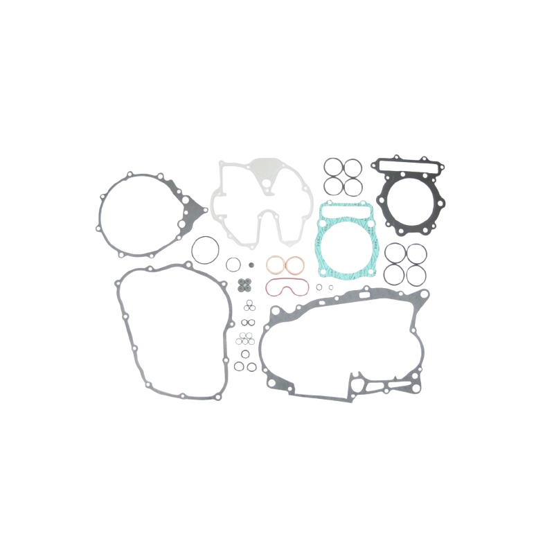 276-cgs1081-complete-gasket-