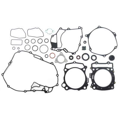 276-CGS2525-Complete Gasket...