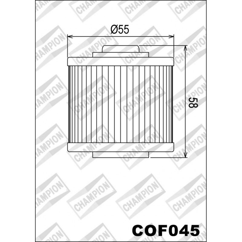 226-COF045 Champion Oil...