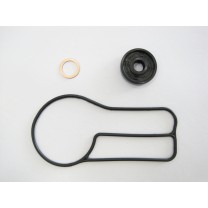 276-WPT220-Water Pump Gasket Set-KTM/Husqvarna 250/300