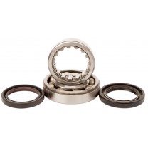 340-CBK173H Crank Bearing Kit-CRF250R/CRF250X