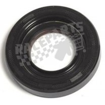 Oil Seal 27.8X55X10 SS Rulon