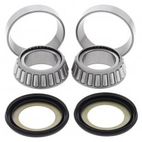 341-SBK024 Steering Bearing Kit-BMW/Sherco